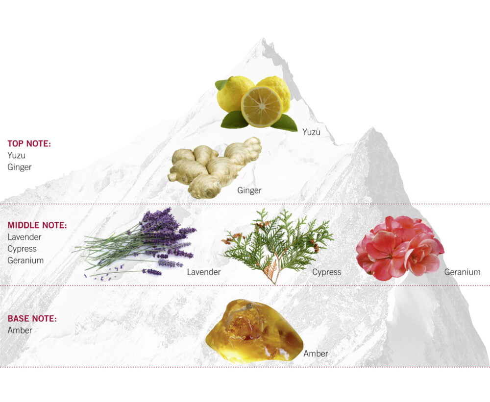 Fra Vsa Classic Pyramid En 2.jpg