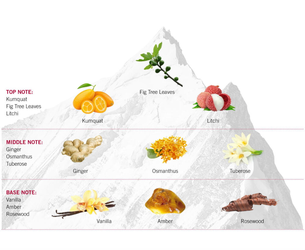 Fra Vx Ella Pyramid En.jpg