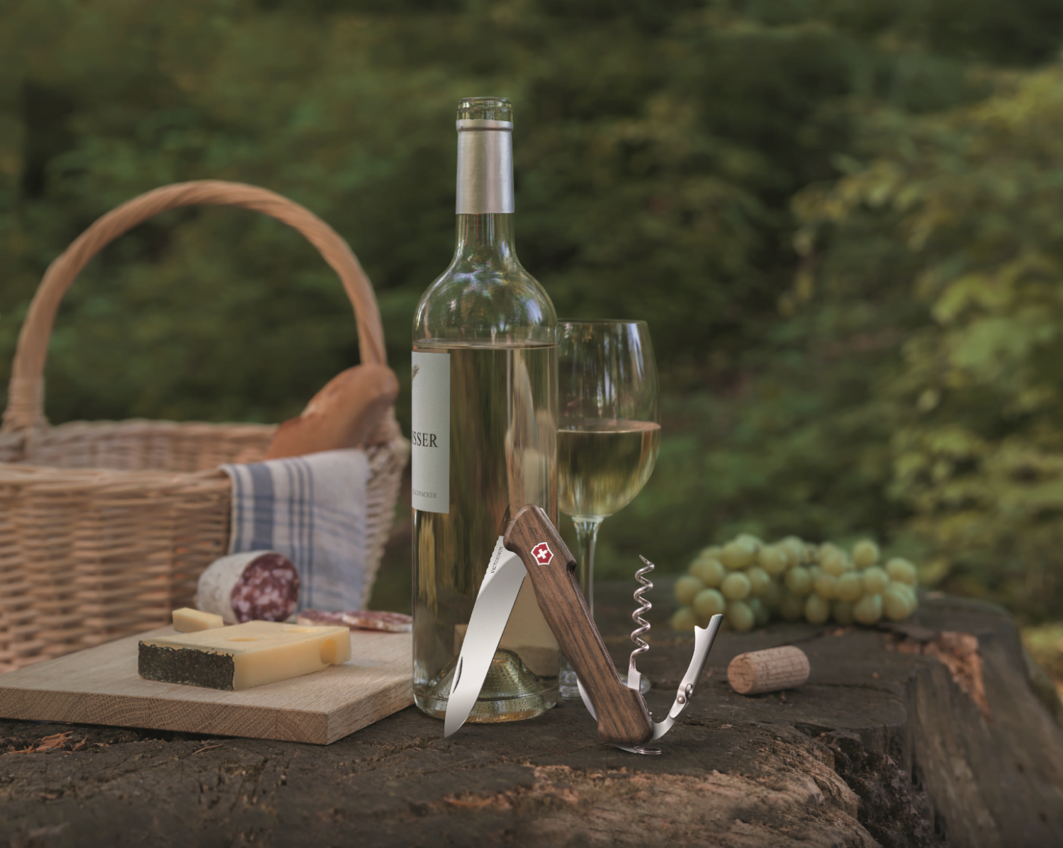 Sak 0 9701 63 B3 1.png