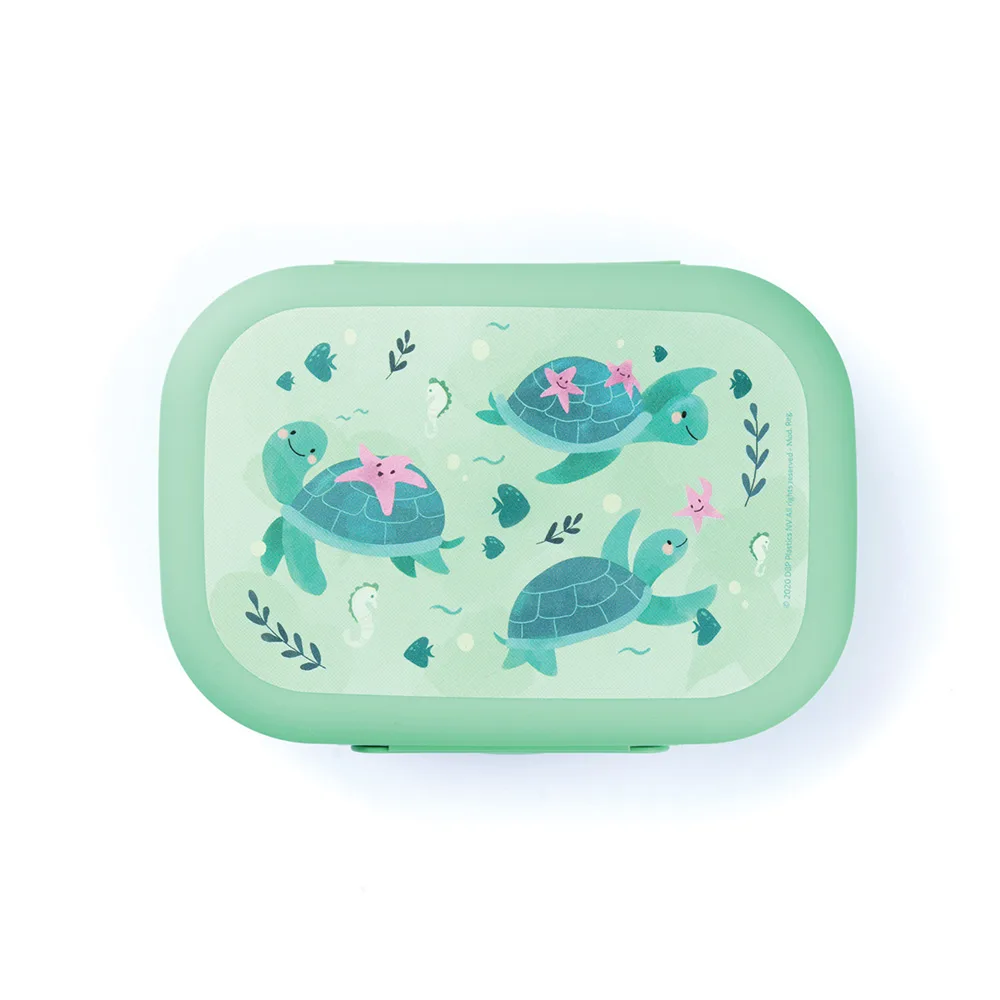 קופסת אוכל לילדים צב